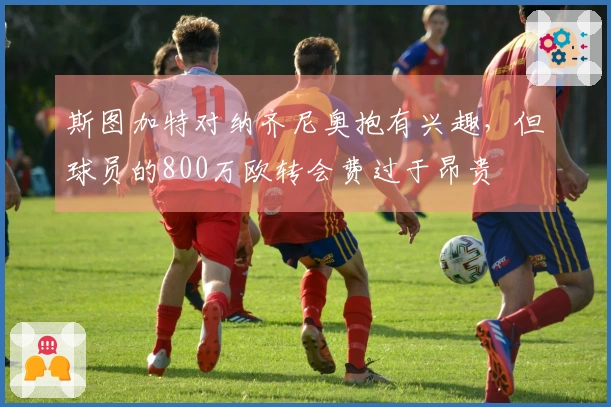 斯图加特对纳齐尼奥抱有兴趣，但球员的800万欧转会费过于昂贵